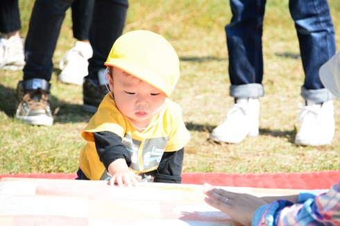 img_20151101-153146.jpg