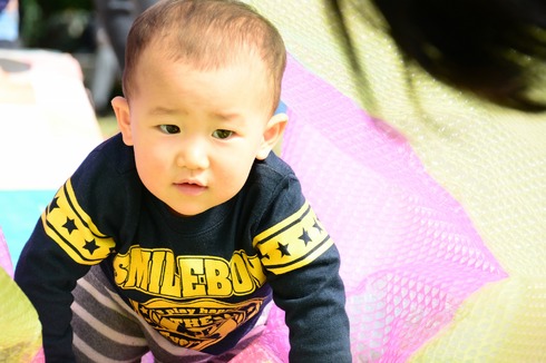 img_20151101-153203.jpg