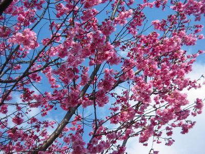 ほぐし処 佐賀の「整体院 空（そら）」 フォトギャラリー