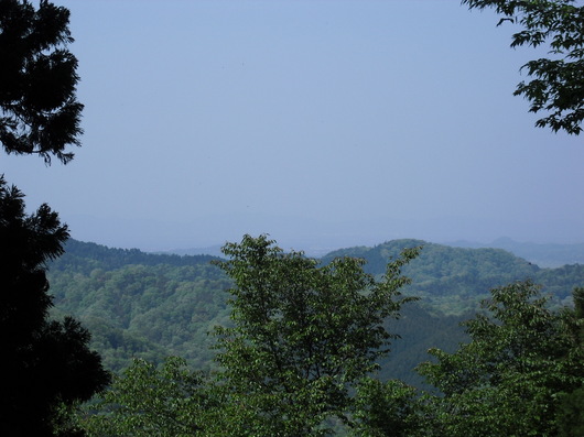 img_20130506-201932.jpg