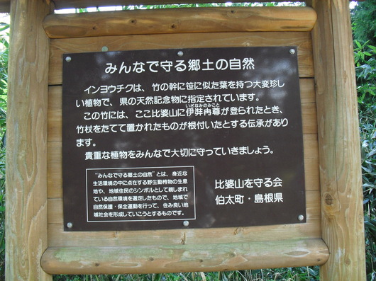 img_20130506-202239.jpg