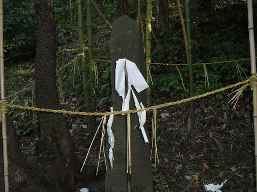 img_20131013-213238.jpg