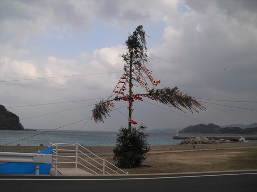 img_20140112-185251.jpg