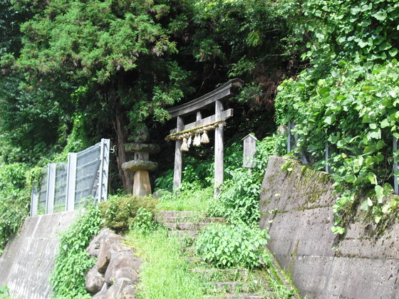 img_20140818-200243.jpg