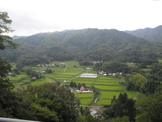 img_20140818-200502.jpg