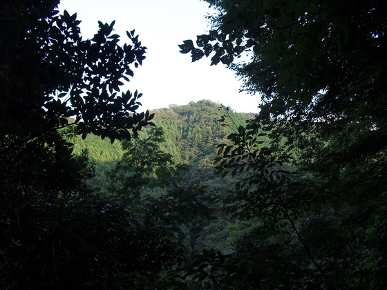 img_20140924-203319.jpg