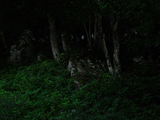img_20140924-203915.jpg