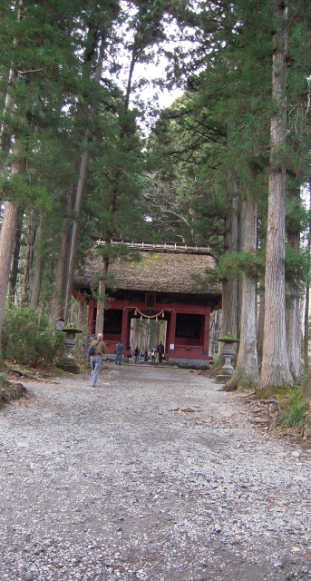 img_20111118-163731.jpg