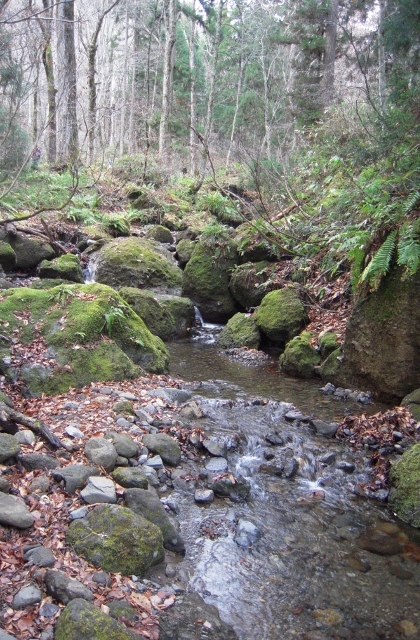 img_20111119-122747.jpg