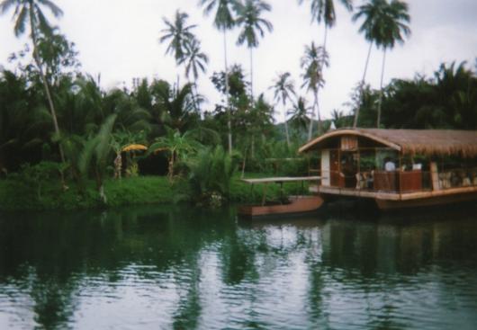 img_20111122-174822.jpg