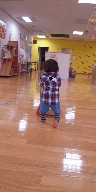 img_20120308-110606.jpg