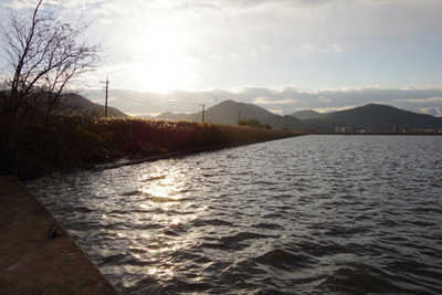 img_20121210-113606.jpg