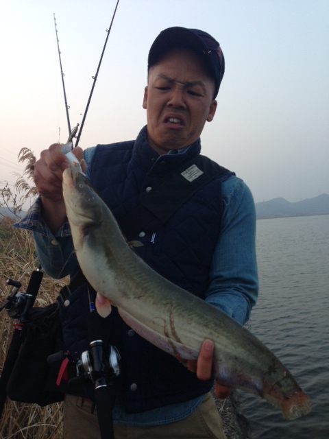 img_20130322-121715.jpg