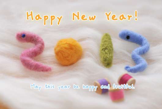 img_20121231-214109.jpg