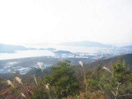 img_20121217-160403.jpg