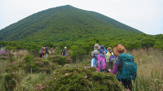 img_20130610-121409.jpg