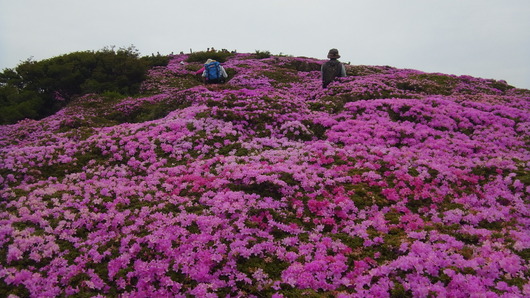 img_20130610-121658.jpg