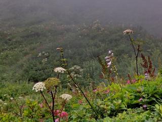 img_20130805-091154.jpg