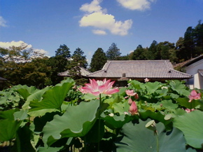 img_20120201-172154.jpg