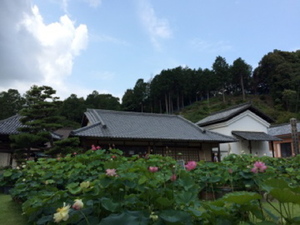 img_20140715-094921.jpg