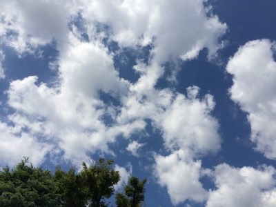 img_20141005-171003.jpg