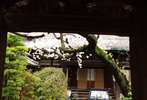 img_20150402-095442.jpg