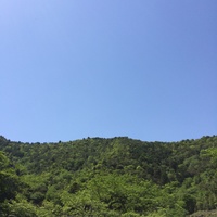 img_20150506-071112.jpg