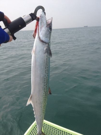 img_20131106-220612.png