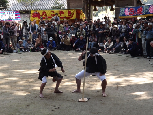img_20130506-061836.jpg