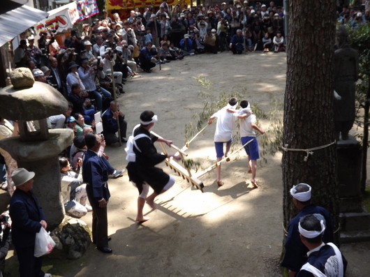 img_20130506-062111.jpg