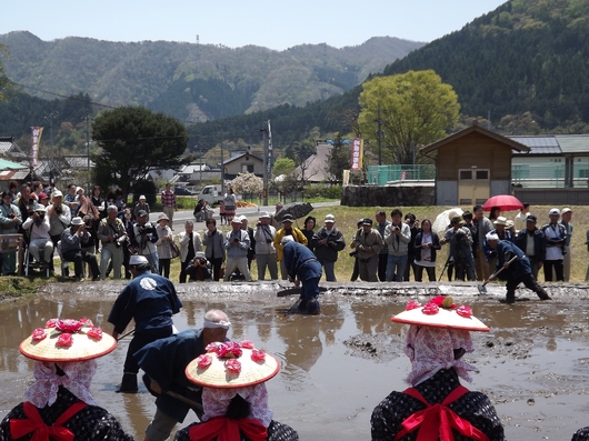 img_20130506-062330.jpg