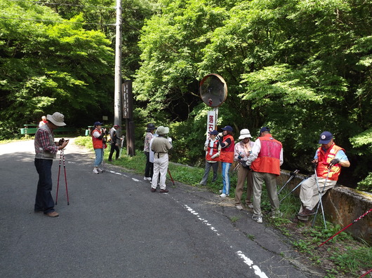 img_20130709-091049.jpg