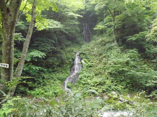 img_20130709-091134.jpg