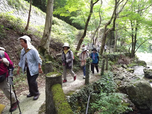 img_20130724-171504.jpg