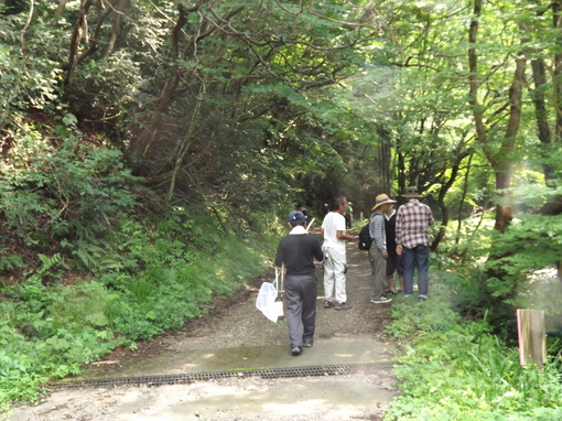 img_20130809-074616.jpg