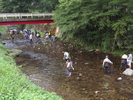 img_20130810-150506.jpg