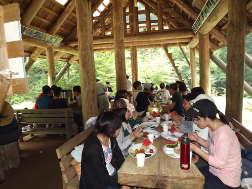 img_20130810-150952.jpg