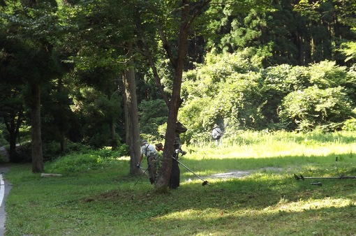 img_20130820-221832.jpg