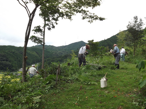 img_20130906-181103.jpg