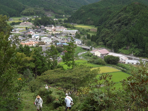 img_20130906-181156.jpg