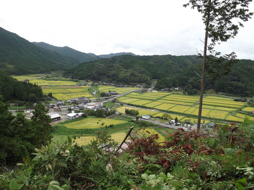 img_20130906-181542.jpg