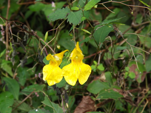 img_20130910-102355.jpg