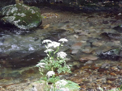 img_20130924-143209.jpg
