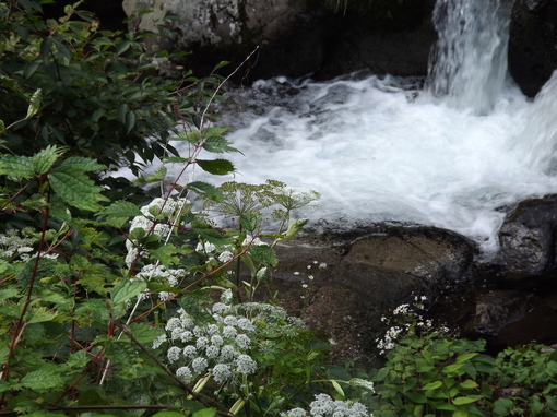 img_20130924-143409.jpg