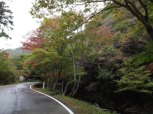 img_20131023-134537.jpg