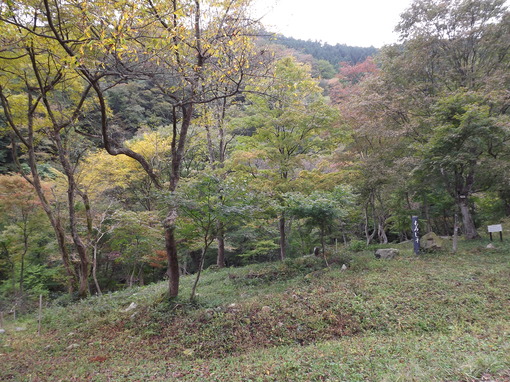img_20131023-134627.jpg