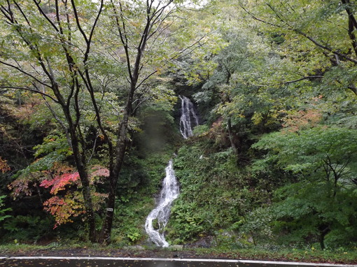 img_20131024-142843.jpg