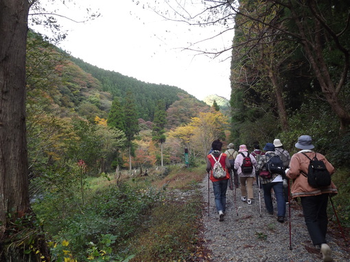 img_20131026-235432.jpg