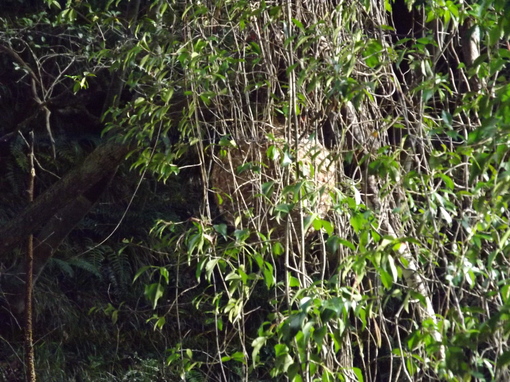 img_20131027-163441.jpg