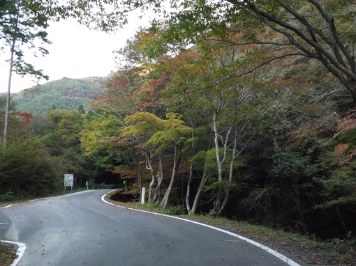 img_20131029-173536.jpg
